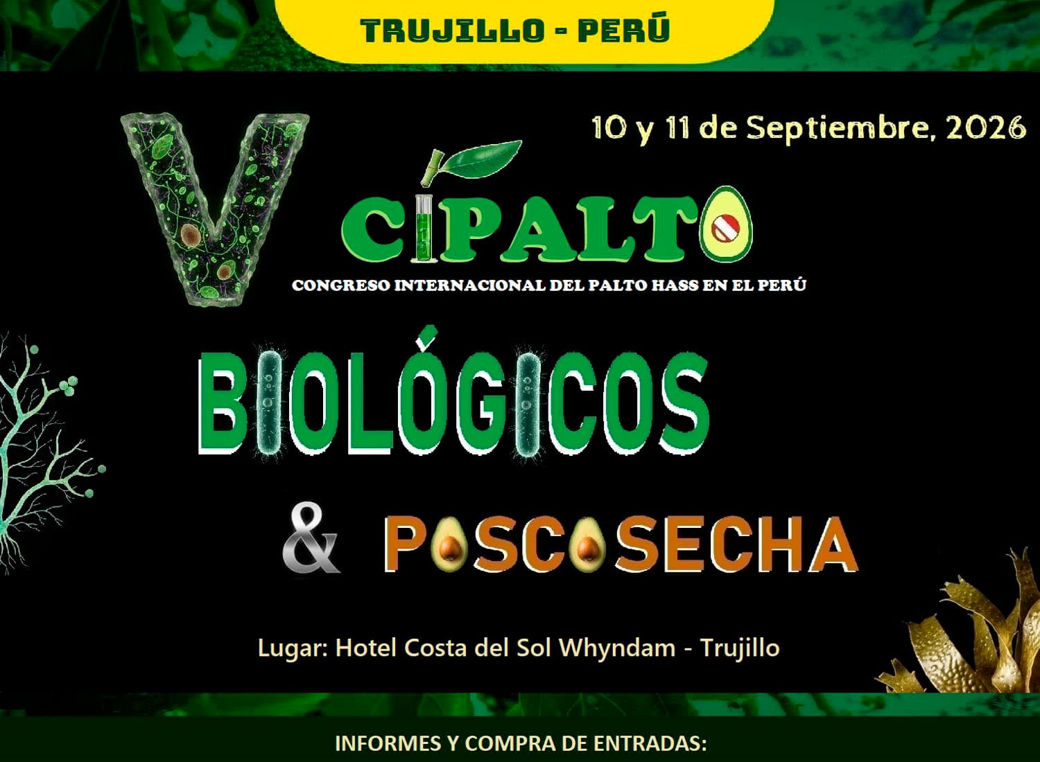 V CIPALTO